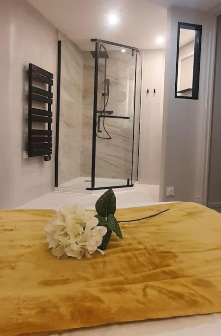 Suite Vinicole Hypercentre, Bastille & Gare 9 Min A Pied غرونوبل المظهر الخارجي الصورة